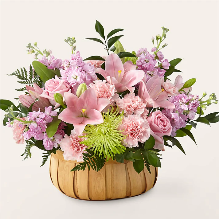 Hydrangea